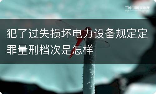 犯了过失损坏电力设备规定定罪量刑档次是怎样