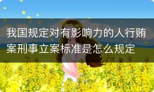 我国规定对有影响力的人行贿案刑事立案标准是怎么规定