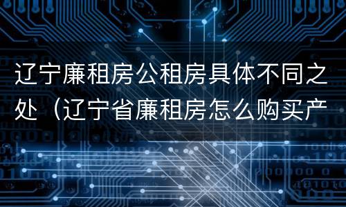 辽宁廉租房公租房具体不同之处（辽宁省廉租房怎么购买产权）