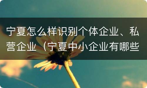宁夏怎么样识别个体企业、私营企业（宁夏中小企业有哪些）