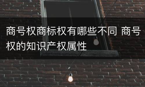 商号权商标权有哪些不同 商号权的知识产权属性