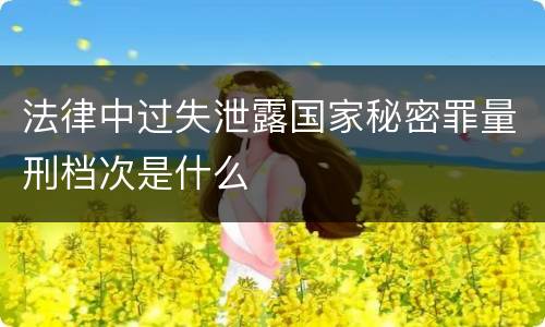 法律中过失泄露国家秘密罪量刑档次是什么