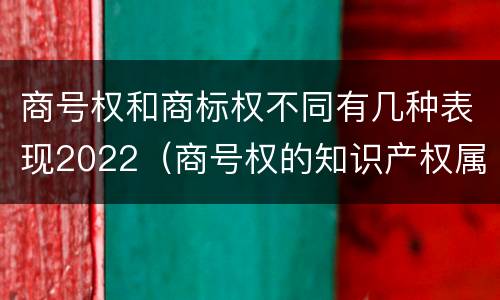 商号权和商标权不同有几种表现2022（商号权的知识产权属性）