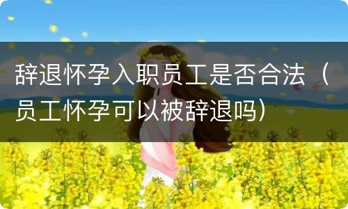 辞退怀孕入职员工是否合法（员工怀孕可以被辞退吗）