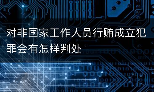 对非国家工作人员行贿成立犯罪会有怎样判处