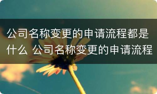公司名称变更的申请流程都是什么 公司名称变更的申请流程都是什么样的