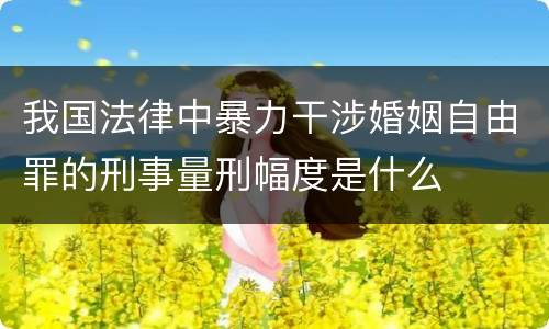 我国法律中暴力干涉婚姻自由罪的刑事量刑幅度是什么