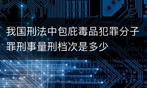 我国刑法中包庇毒品犯罪分子罪刑事量刑档次是多少