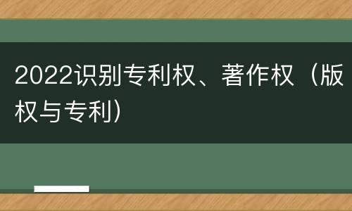 2022识别专利权、著作权（版权与专利）