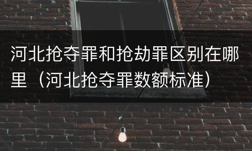 河北抢夺罪和抢劫罪区别在哪里（河北抢夺罪数额标准）