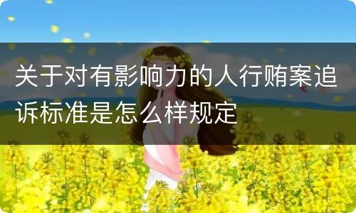 关于对有影响力的人行贿案追诉标准是怎么样规定