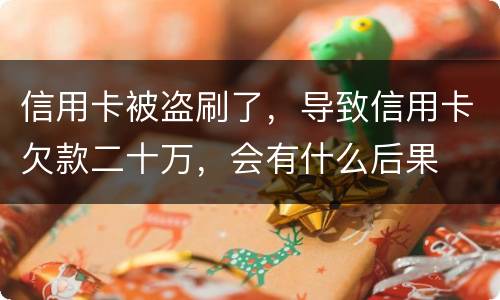 信用卡被盗刷了，导致信用卡欠款二十万，会有什么后果