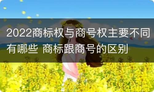 2022商标权与商号权主要不同有哪些 商标跟商号的区别