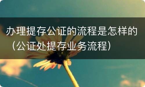 办理提存公证的流程是怎样的（公证处提存业务流程）