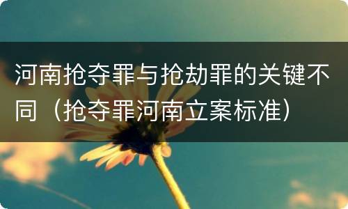 河南抢夺罪与抢劫罪的关键不同（抢夺罪河南立案标准）