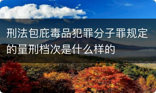 刑法包庇毒品犯罪分子罪规定的量刑档次是什么样的