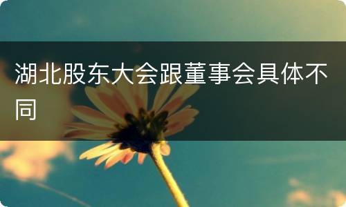 湖北股东大会跟董事会具体不同