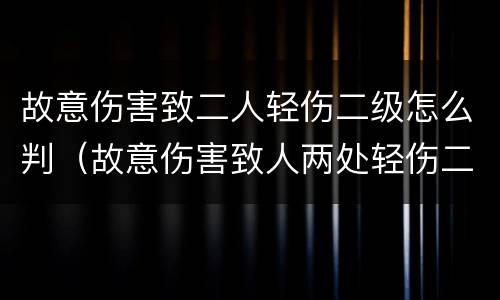 故意伤害致二人轻伤二级怎么判（故意伤害致人两处轻伤二级怎么判）