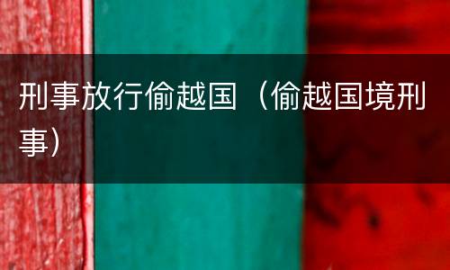 刑事放行偷越国（偷越国境刑事）
