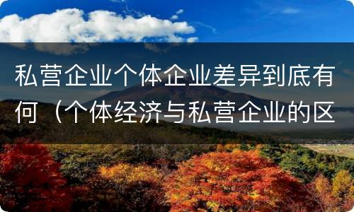 私营企业个体企业差异到底有何（个体经济与私营企业的区别）
