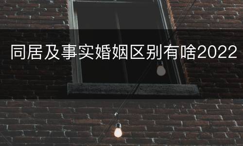 同居及事实婚姻区别有啥2022