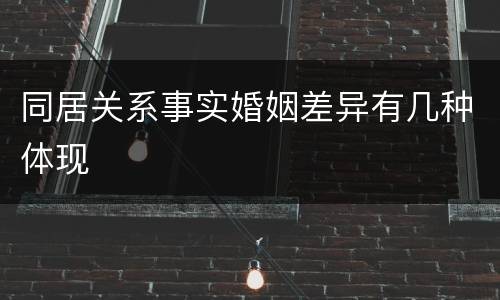 同居关系事实婚姻差异有几种体现