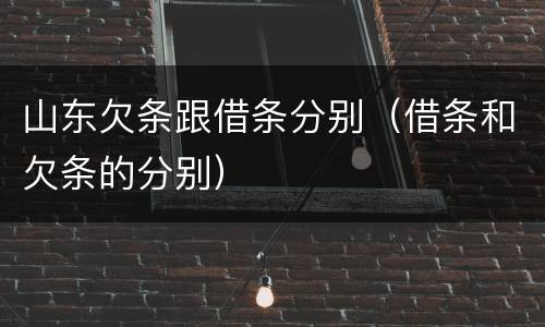 山东欠条跟借条分别（借条和欠条的分别）