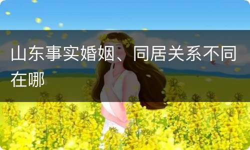 山东事实婚姻、同居关系不同在哪