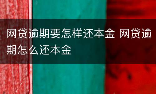 网贷逾期要怎样还本金 网贷逾期怎么还本金