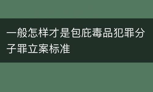 一般怎样才是包庇毒品犯罪分子罪立案标准