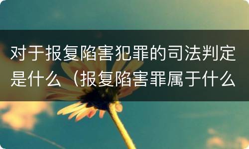 对于报复陷害犯罪的司法判定是什么（报复陷害罪属于什么罪）