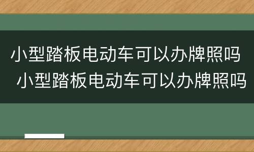 小型踏板电动车可以办牌照吗 小型踏板电动车可以办牌照吗北京