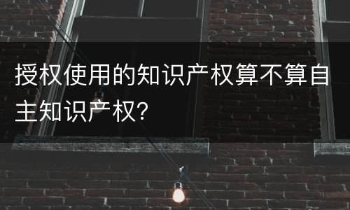 授权使用的知识产权算不算自主知识产权？