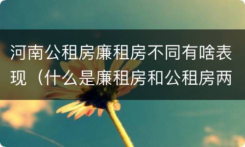 河南公租房廉租房不同有啥表现（什么是廉租房和公租房两个有什么特点）