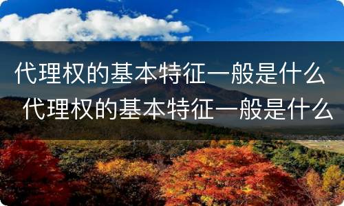 代理权的基本特征一般是什么 代理权的基本特征一般是什么样的