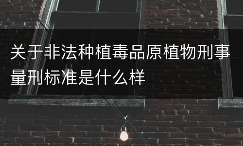 关于非法种植毒品原植物刑事量刑标准是什么样