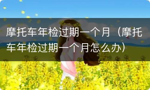 摩托车年检过期一个月（摩托车年检过期一个月怎么办）