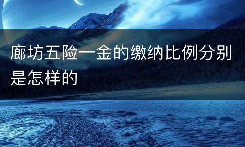 廊坊五险一金的缴纳比例分别是怎样的