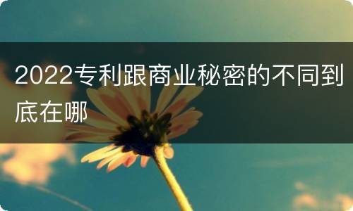 2022专利跟商业秘密的不同到底在哪