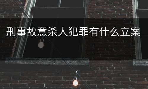 刑事故意杀人犯罪有什么立案