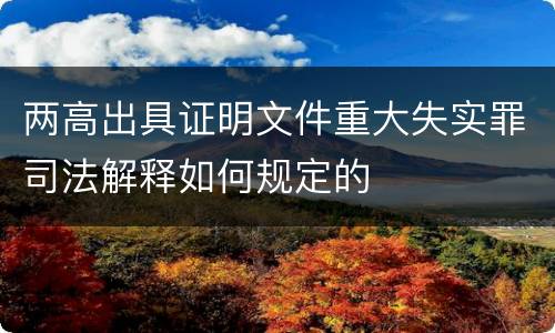 两高出具证明文件重大失实罪司法解释如何规定的