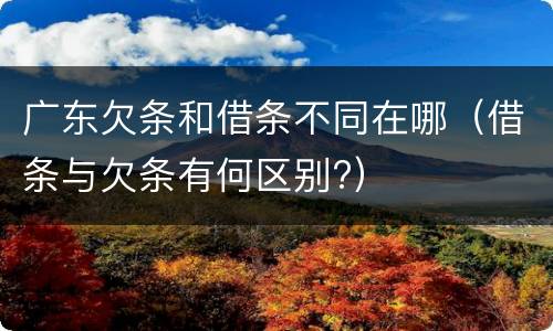 广东欠条和借条不同在哪（借条与欠条有何区别?）