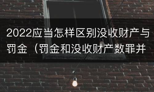 2022应当怎样区别没收财产与罚金（罚金和没收财产数罪并罚）