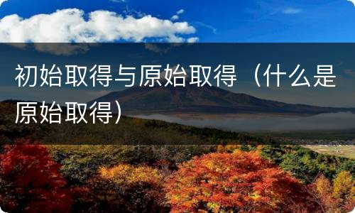 初始取得与原始取得（什么是原始取得）