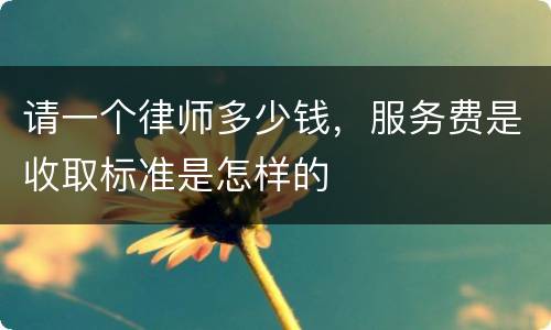 请一个律师多少钱，服务费是收取标准是怎样的