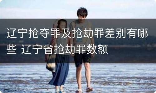 辽宁抢夺罪及抢劫罪差别有哪些 辽宁省抢劫罪数额