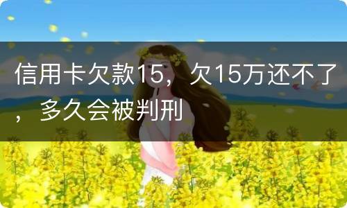 信用卡欠款15，欠15万还不了，多久会被判刑
