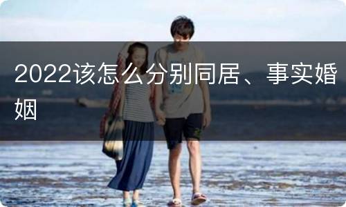 2022该怎么分别同居、事实婚姻