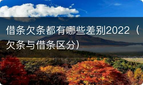 借条欠条都有哪些差别2022（欠条与借条区分）