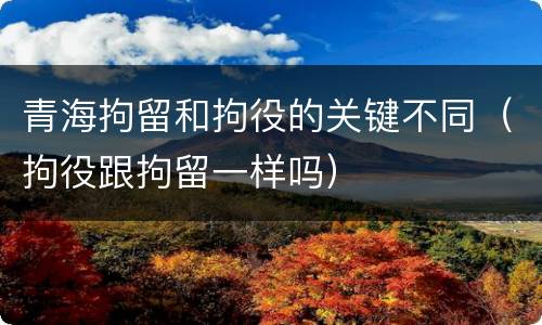 青海拘留和拘役的关键不同（拘役跟拘留一样吗）
